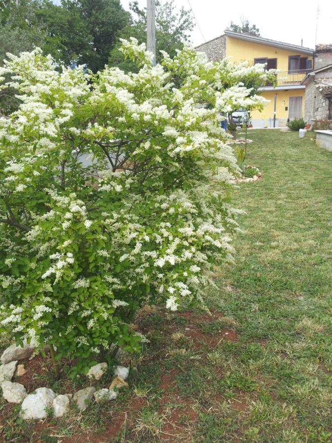 La Casina Gialla Βίλα Veroli Εξωτερικό φωτογραφία