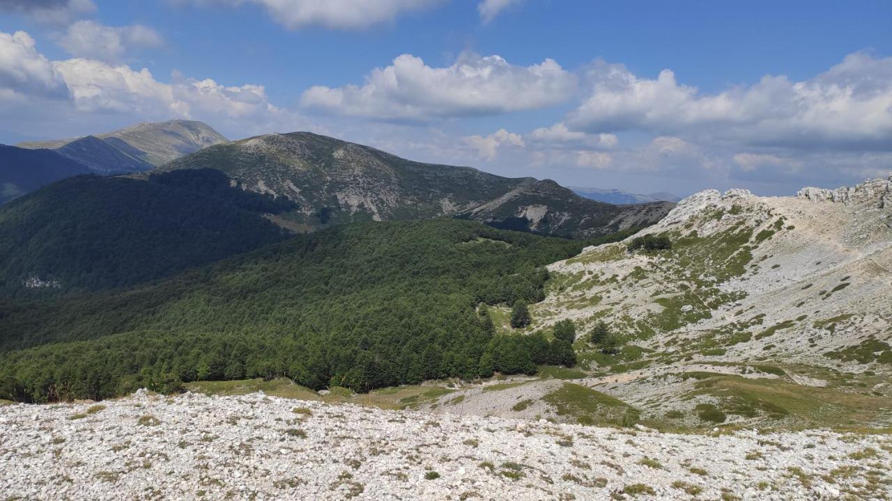La Casina Gialla Βίλα Veroli Εξωτερικό φωτογραφία
