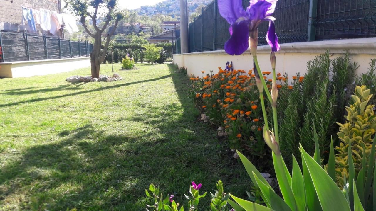 La Casina Gialla Βίλα Veroli Εξωτερικό φωτογραφία