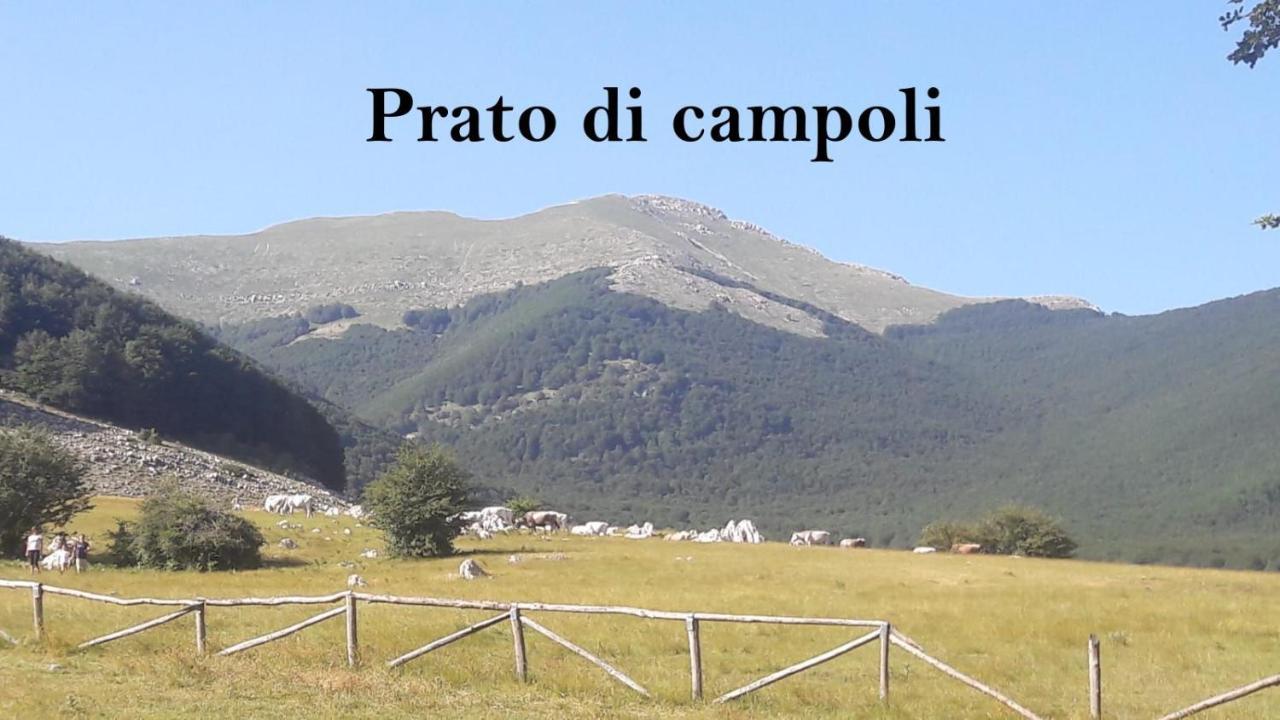 La Casina Gialla Βίλα Veroli Εξωτερικό φωτογραφία