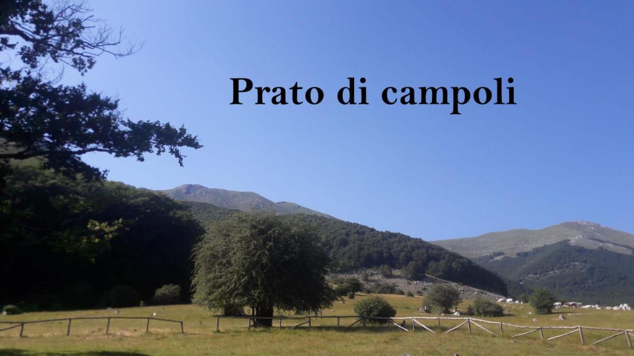La Casina Gialla Βίλα Veroli Εξωτερικό φωτογραφία
